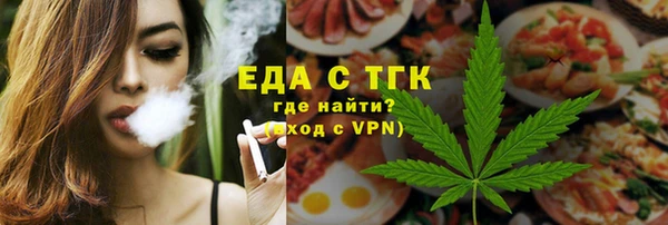 тгк Инсар