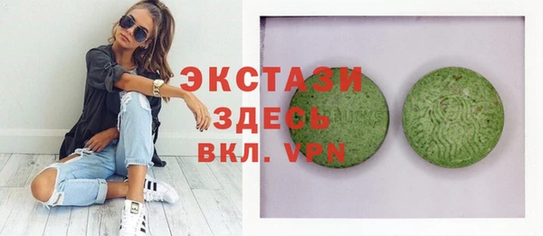 тгк Инсар