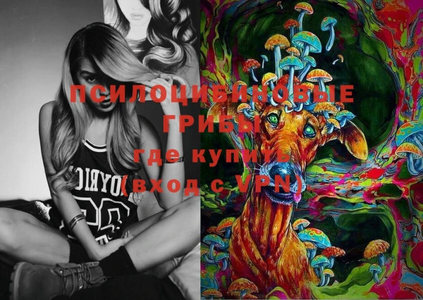 мет Осташков