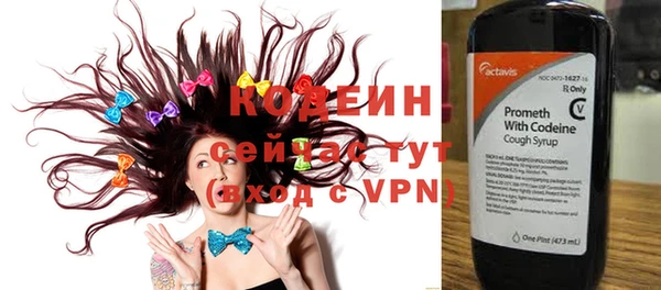 прущие крисы Инта